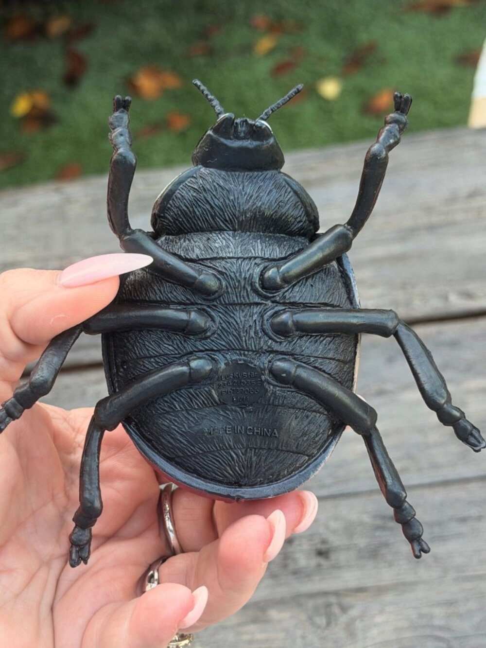 Luckystar Education Lady Bug Plastic Animal Figure Large 5" Science Nature Toy - Picture 9 of 10